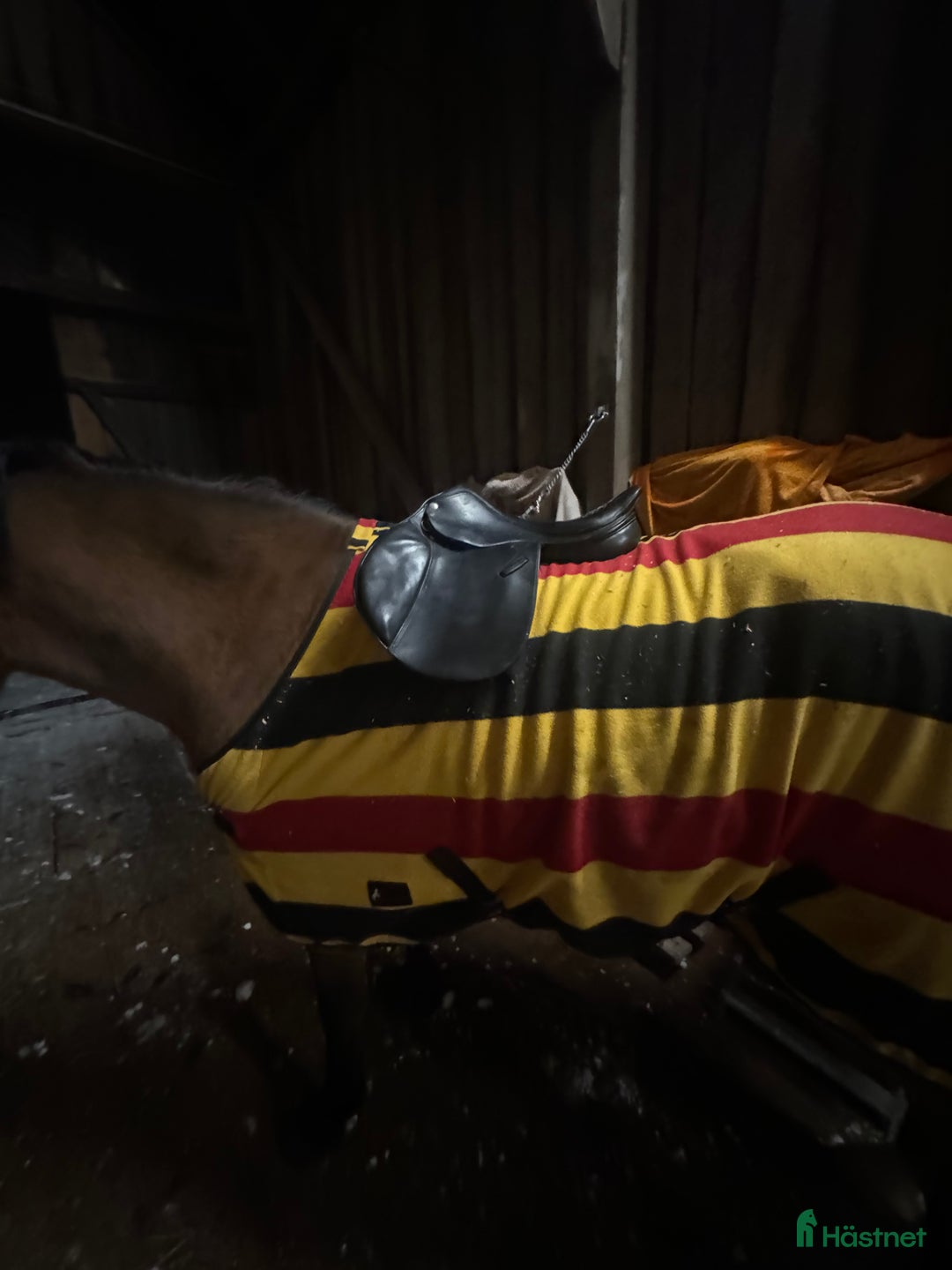 Sadlar hästutrustning till salu: Hopp sadel  i Bro - Annons 3