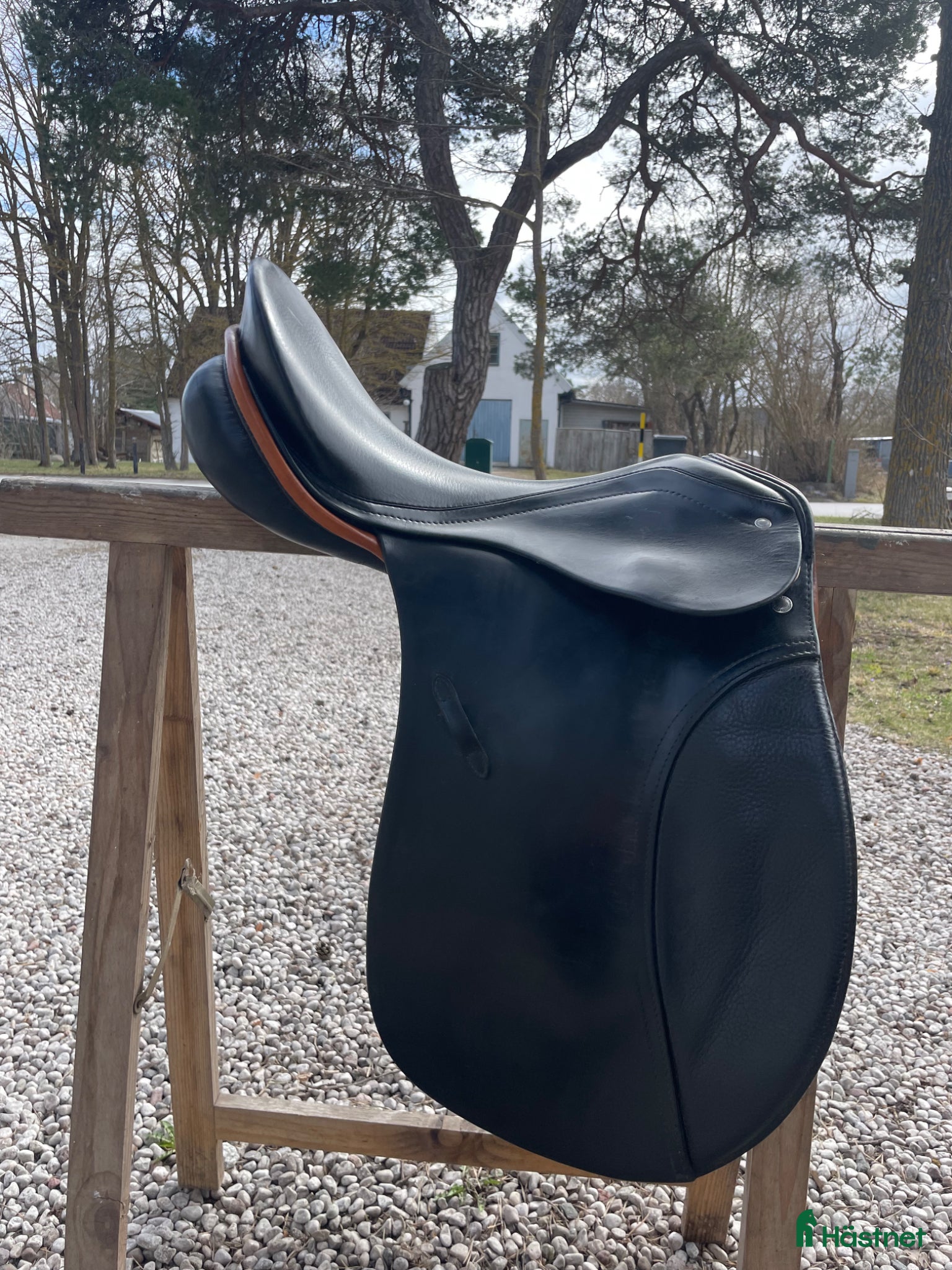 Sadlar hästutrustning Young rider allroundsadel - Annons 10