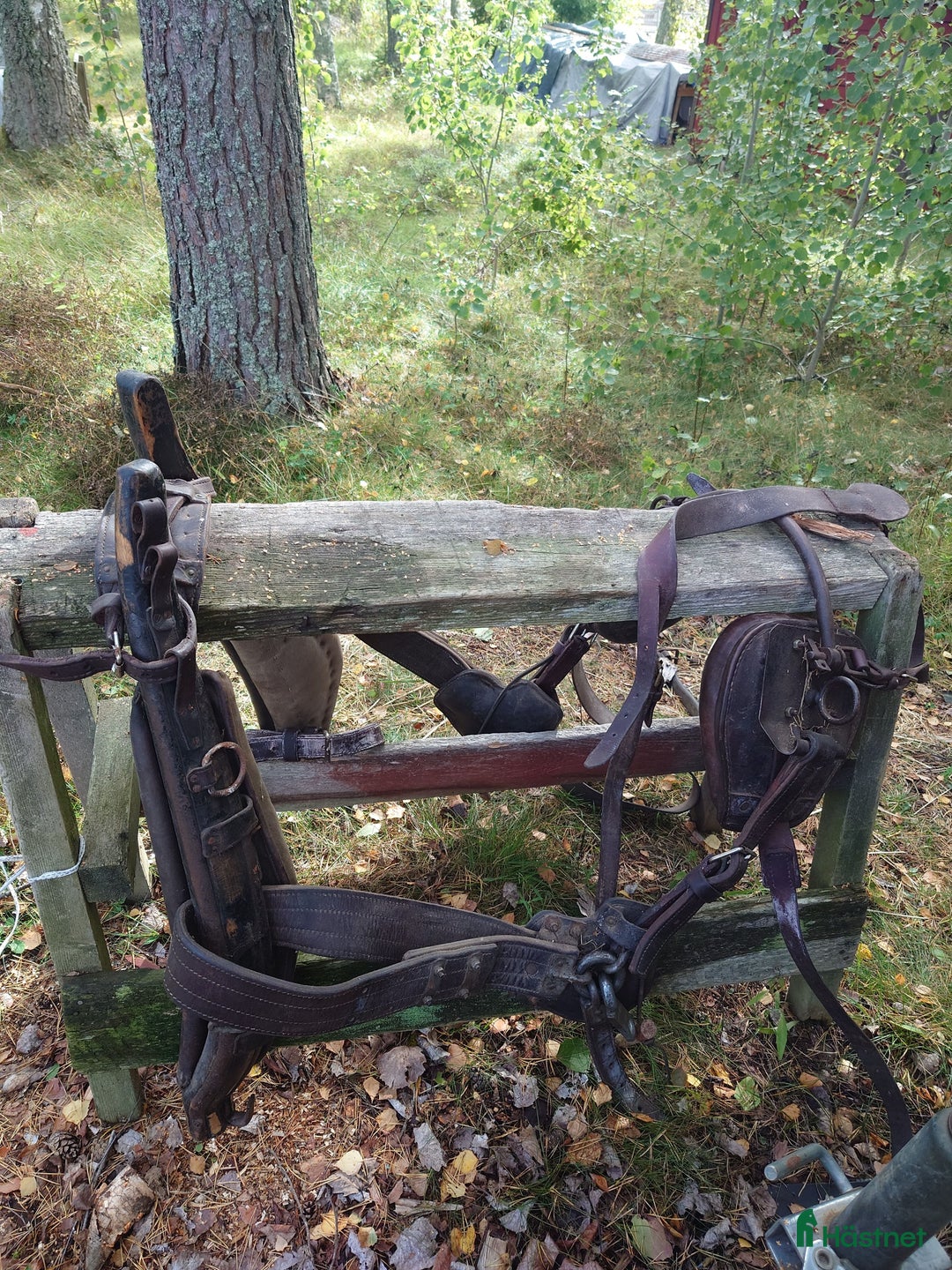 Körselar körning till salu: Loksele i Kista - Annons 1