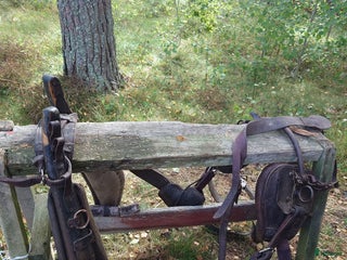 Körselar körning till salu: Loksele i Kista - Annons 3