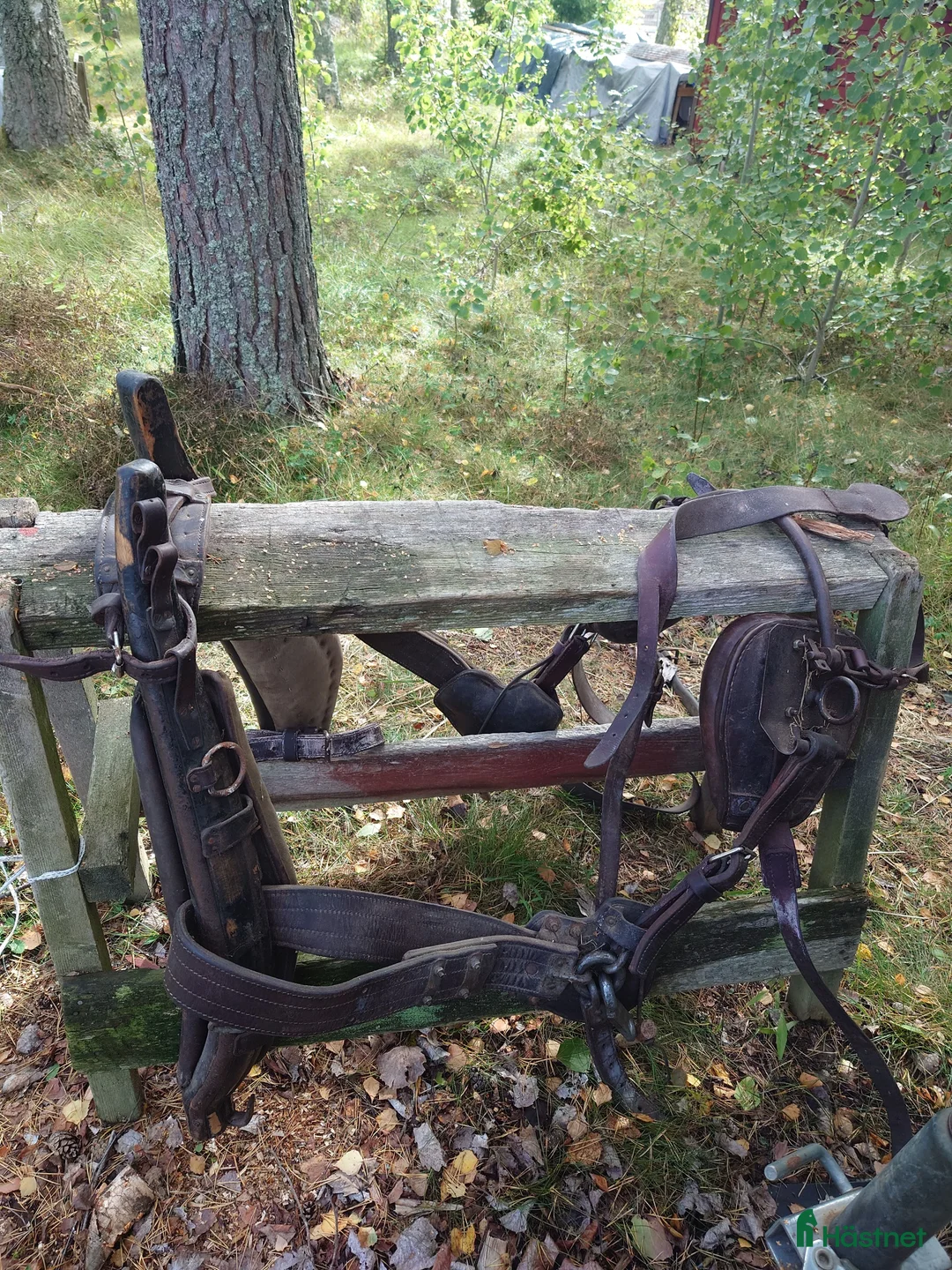 Körselar körning till salu: Loksele i Kista - Annons 1