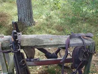 Körselar körning till salu: Loksele i Kista - Annons 9