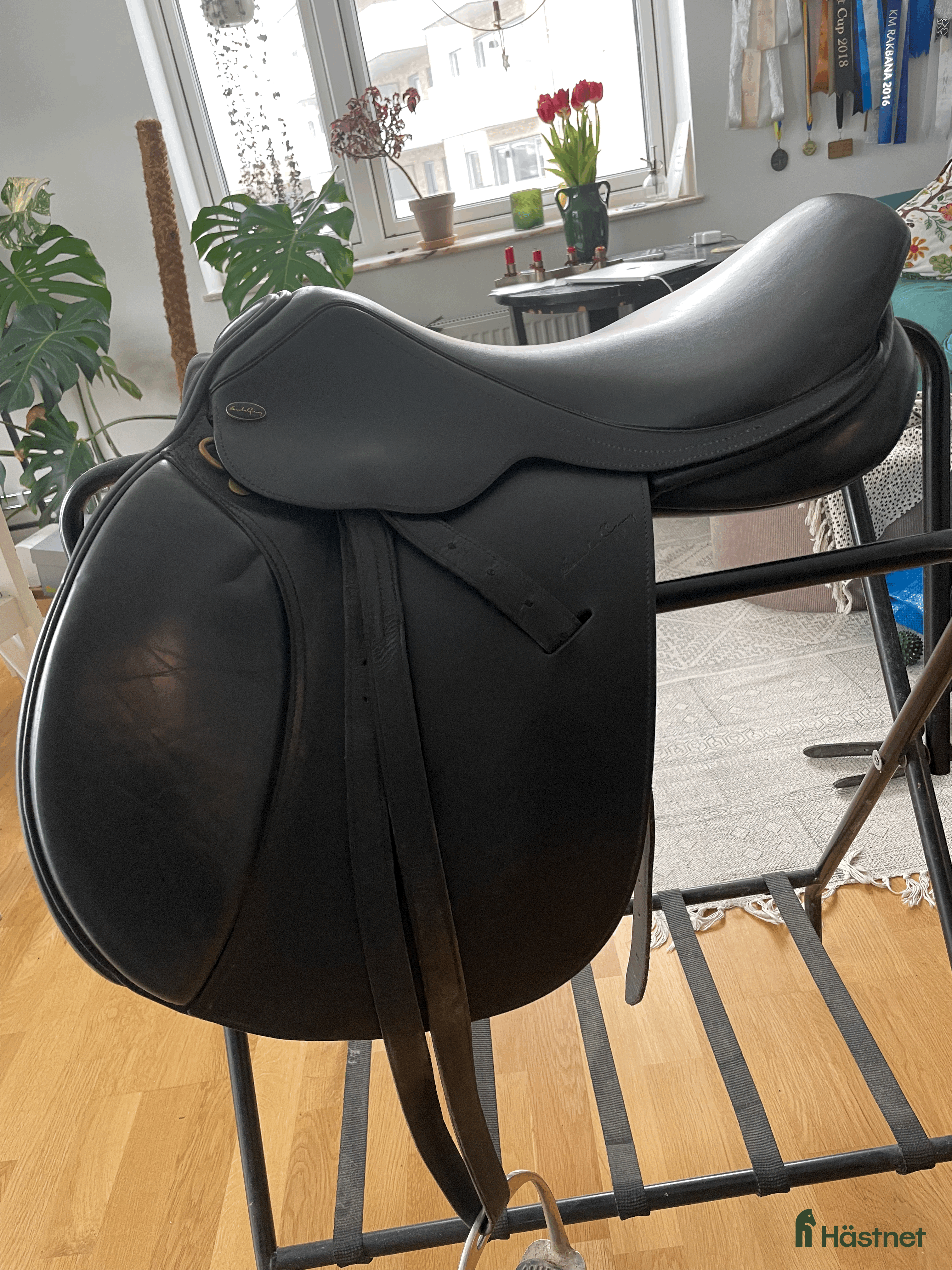 Sadlar hästutrustning Jacson Santa cruz - Annons 5