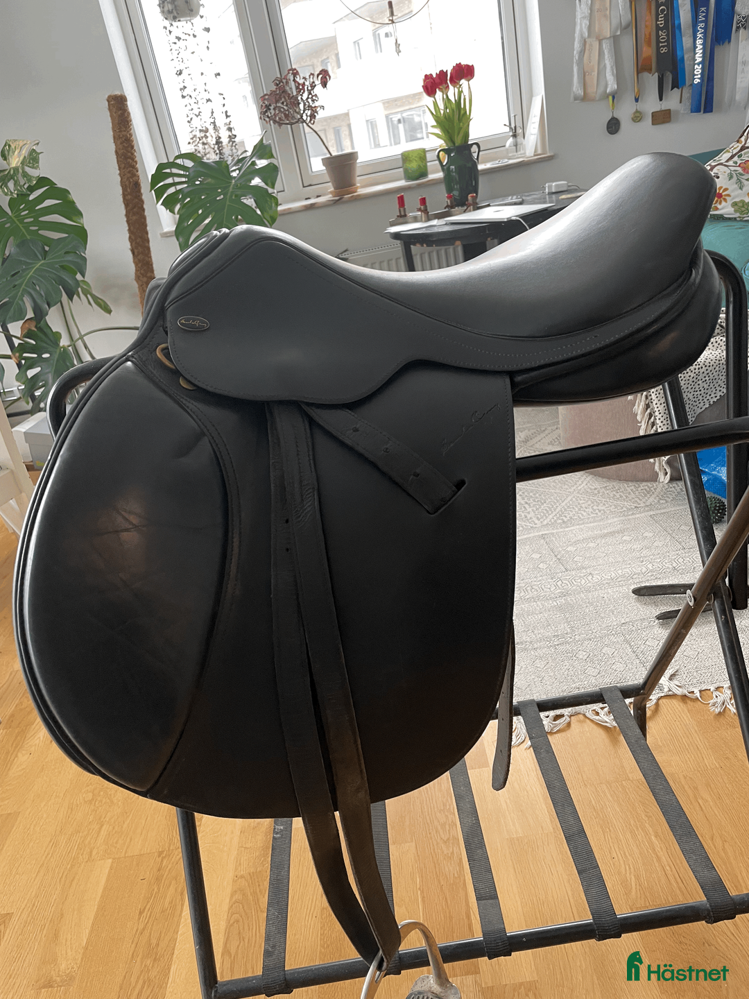 Sadlar hästutrustning till salu: Jacson Santa cruz - Annons 1