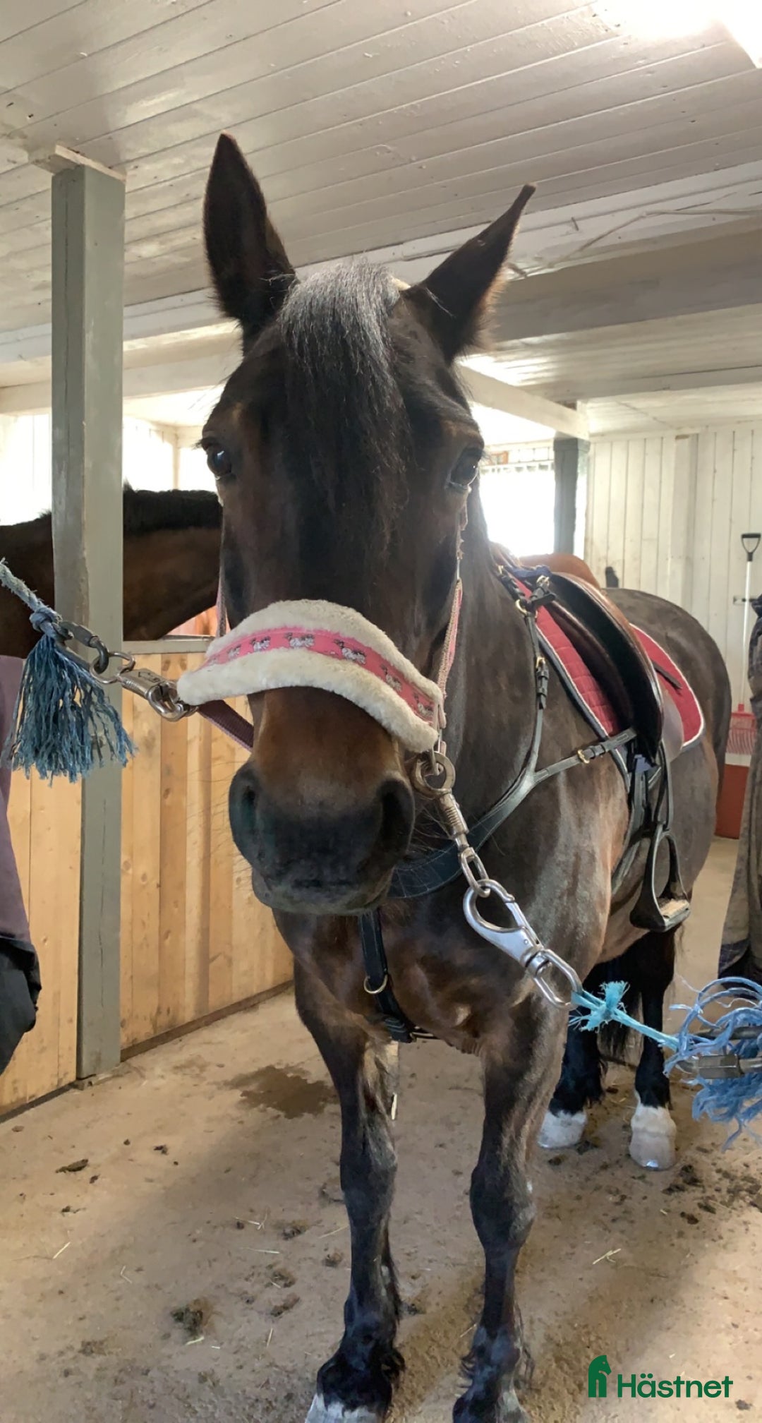 Galleribild {{count}}