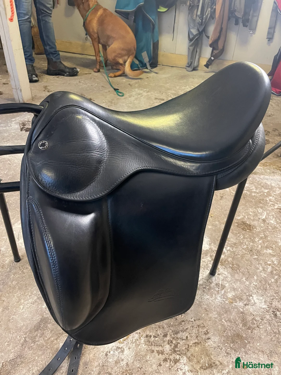 Sadlar hästutrustning till salu: Superfin & sparsamt använd Töltrider Vals 17”  - Annons 4
