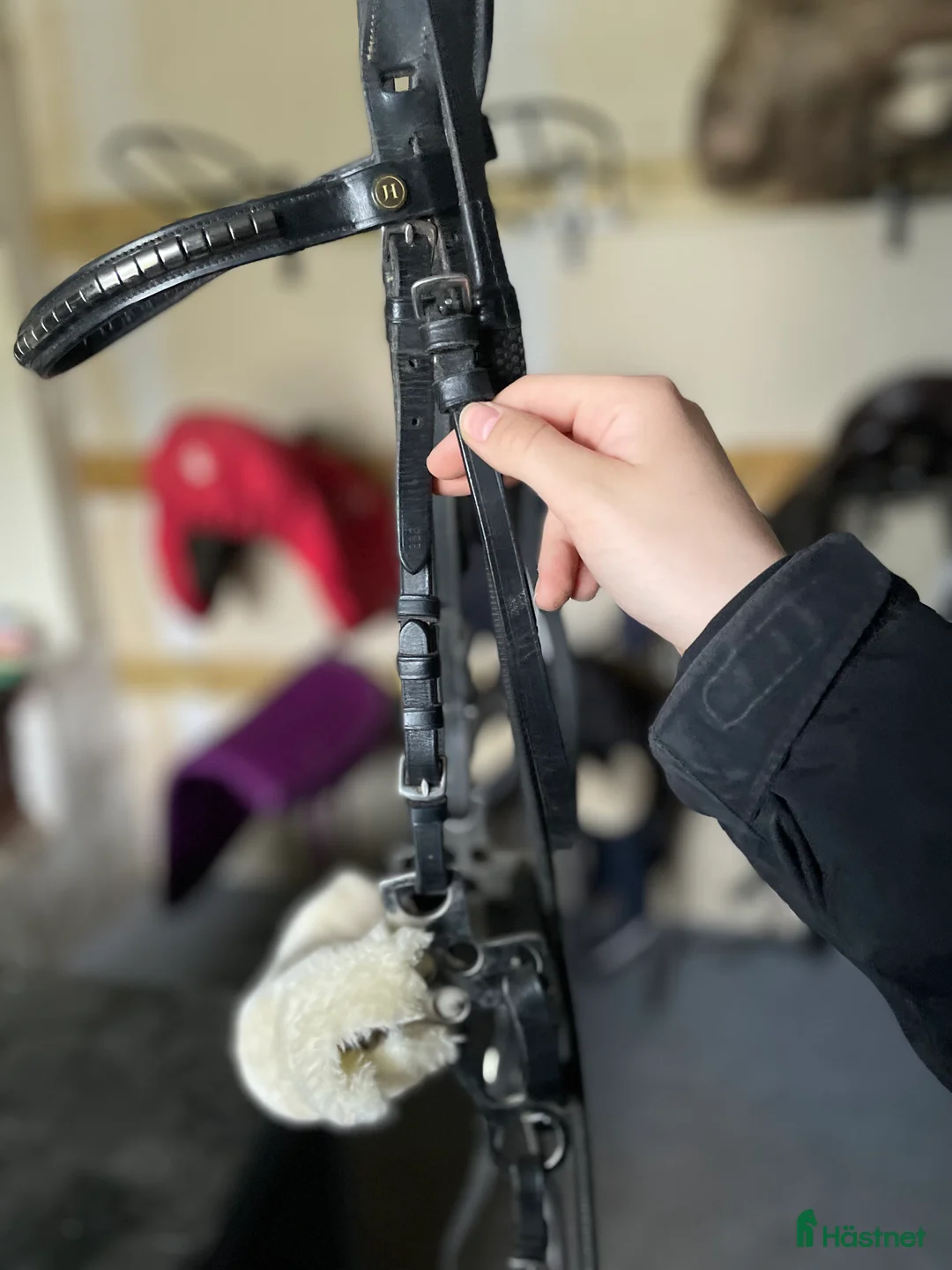 Träns hästutrustning till salu: Hackamore - Annons 5
