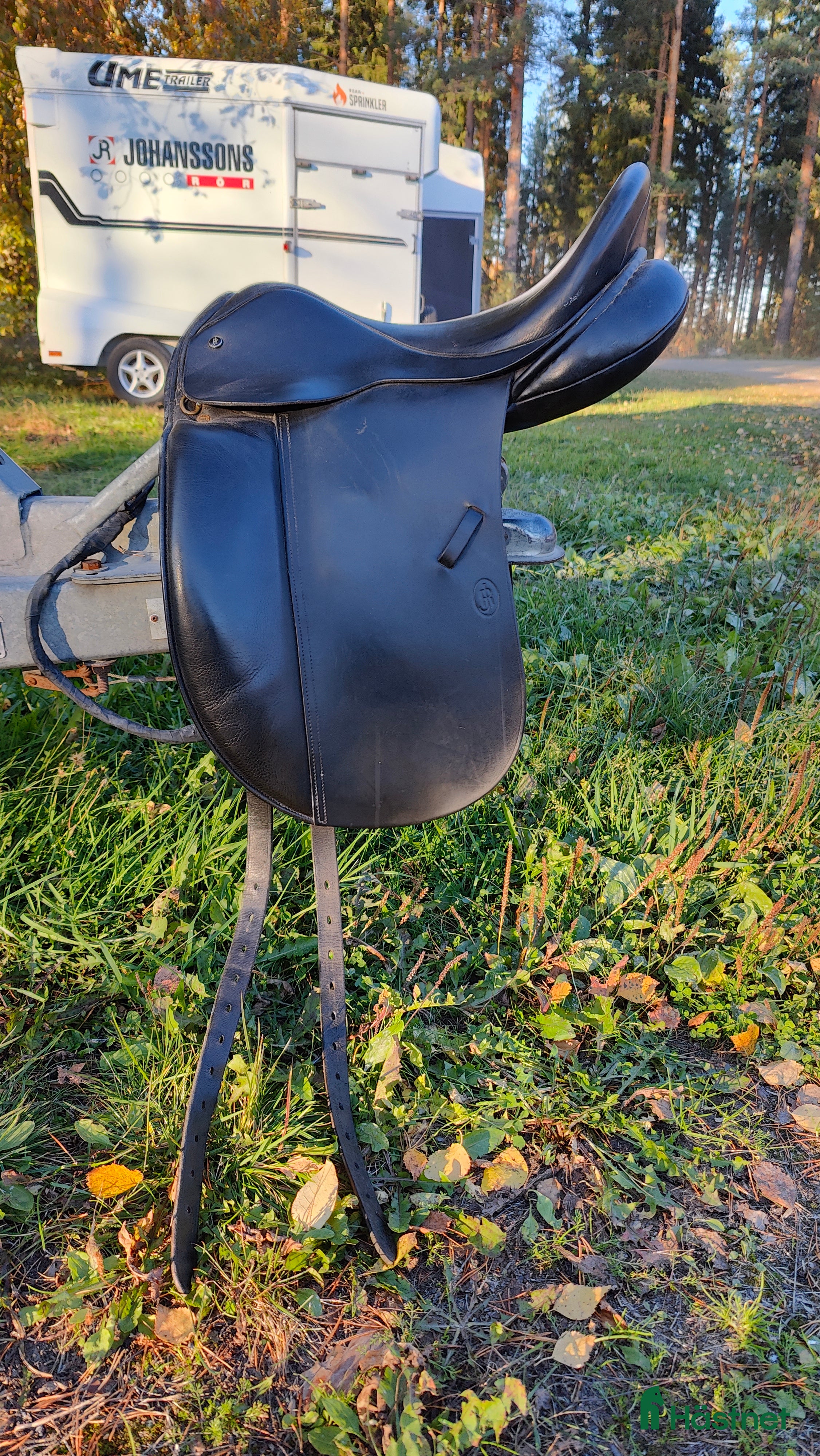 Sadlar hästutrustning till salu: Jeremy Rudge dressyrsadel  i Skellefteå - Annons 4