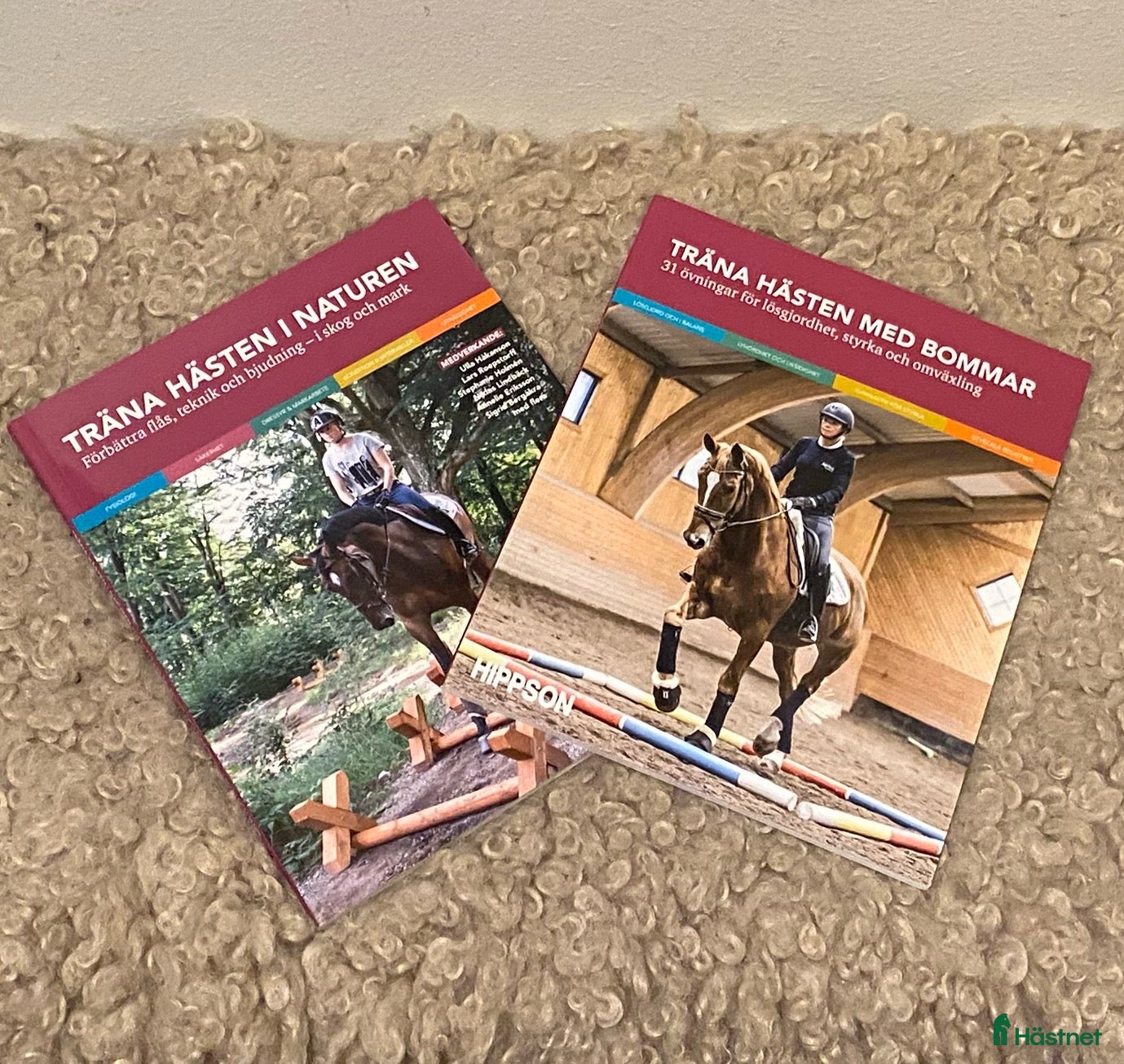 Övrig Ryttarutrustning ryttarutrustning till salu: Hippson böcker, träningstips och program i Falun - Annons 17