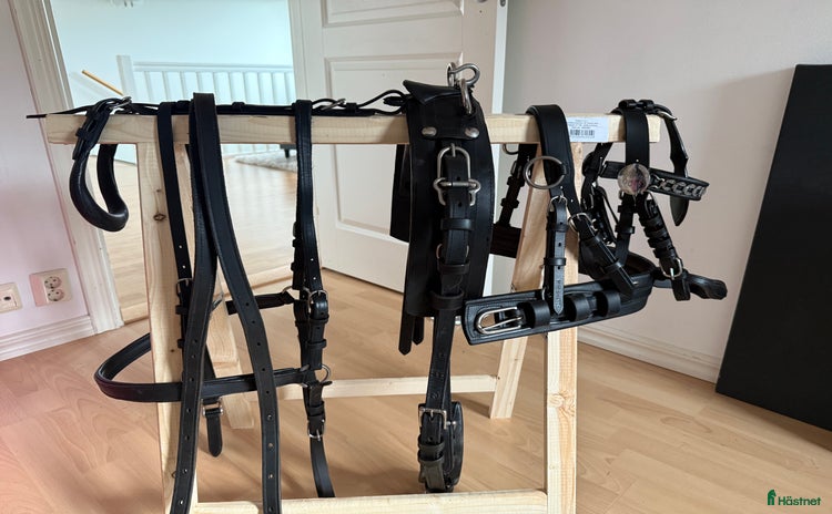 Körselar körning till salu: Körsele mini minishetland  i Hörby - Annons 4