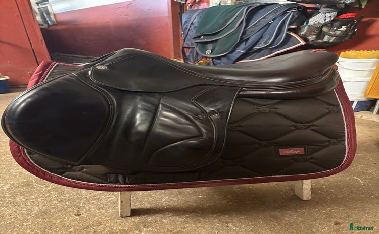 Sadlar hästutrustning till salu: Equipe Ek Evo i Visby - Annons 5