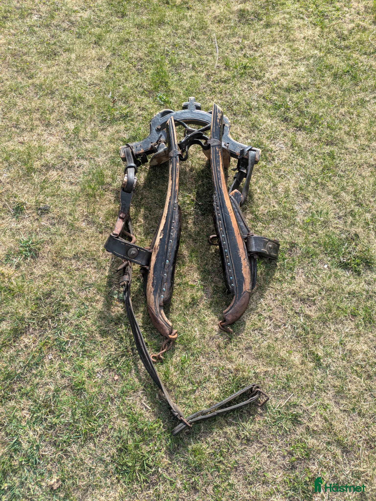 Körselar körning till salu: Gammal kyrksele - Annons 3