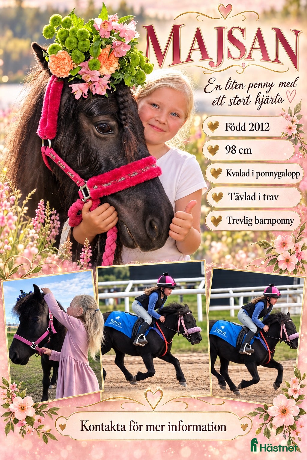  hästar till salu: Barnponny med stort hjärta  - Annons 6