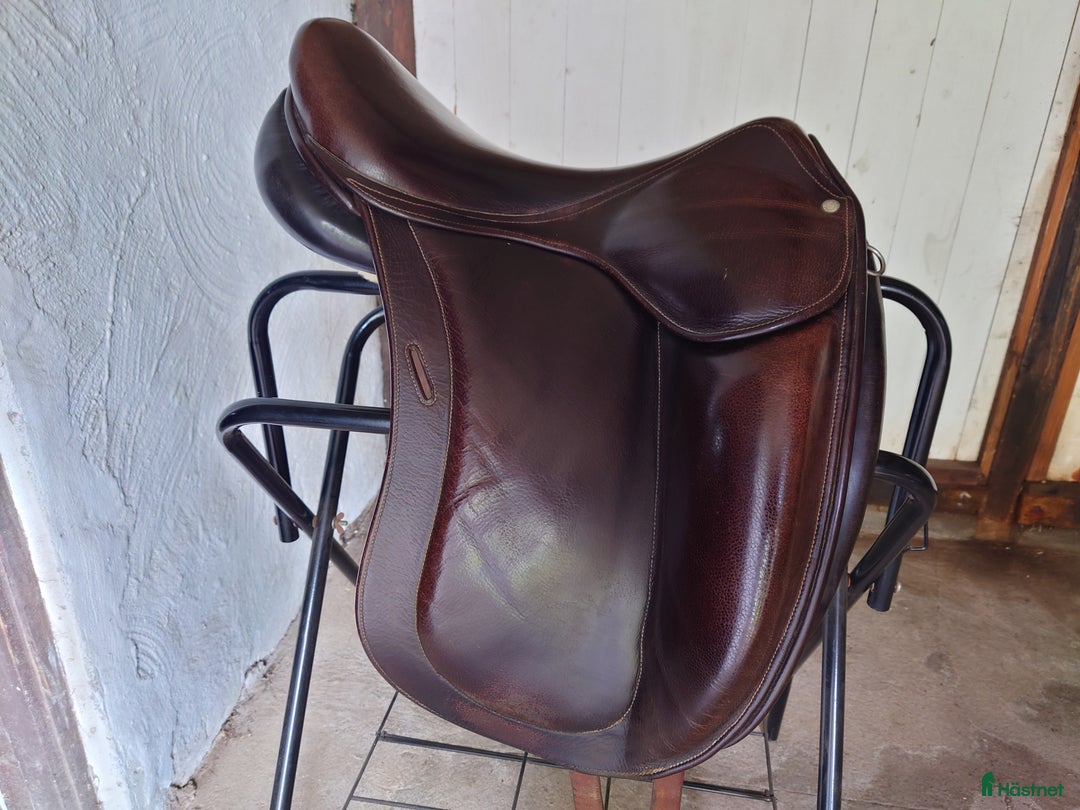 Sadlar hästutrustning till salu: Childeric D1  i Båstad - Annons 2