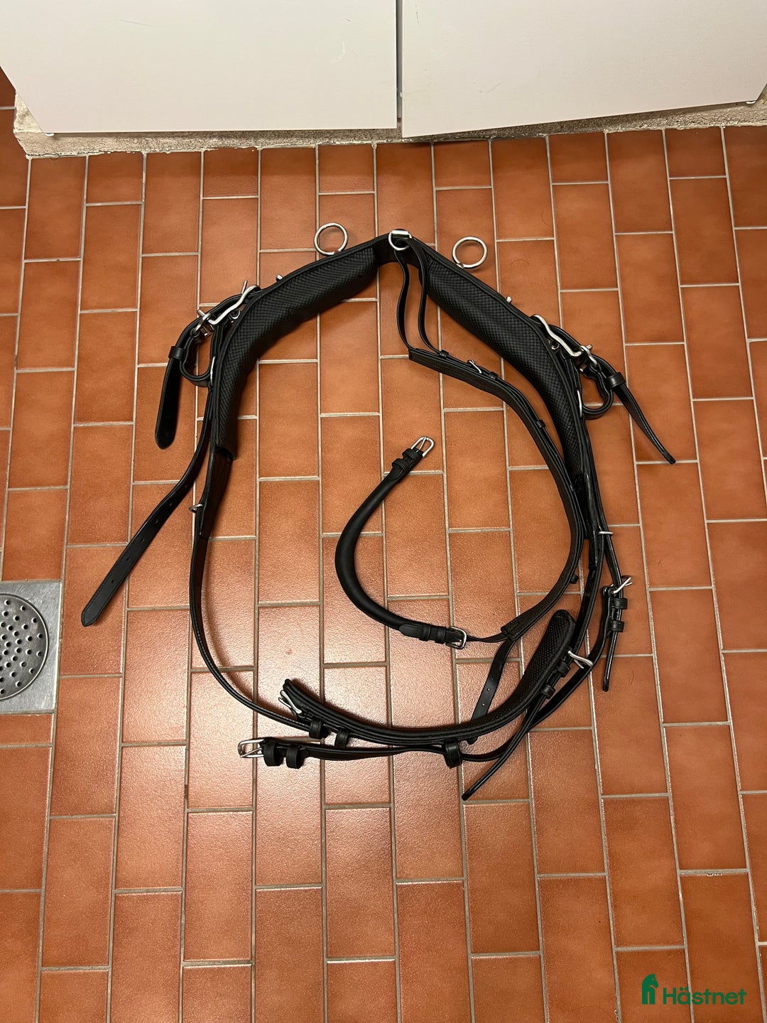 Körselar körning till salu: Sele / Maratonsele mkt bra skick  i Stockholm - Annons 7