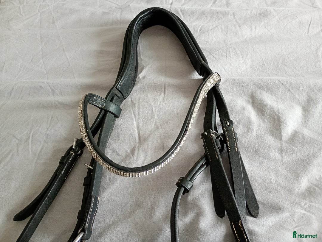 Träns hästutrustning till salu: Pullarnosträns  i Strömstad - Annons 2