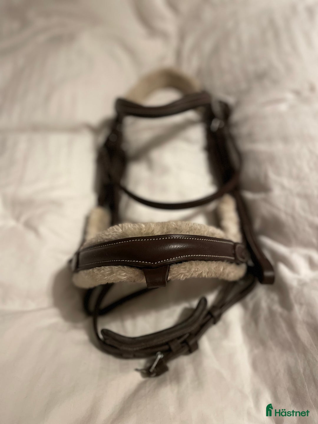 Träns hästutrustning till salu: Sängt pris!! Träns m tyglar  i Lunde - Annons 2