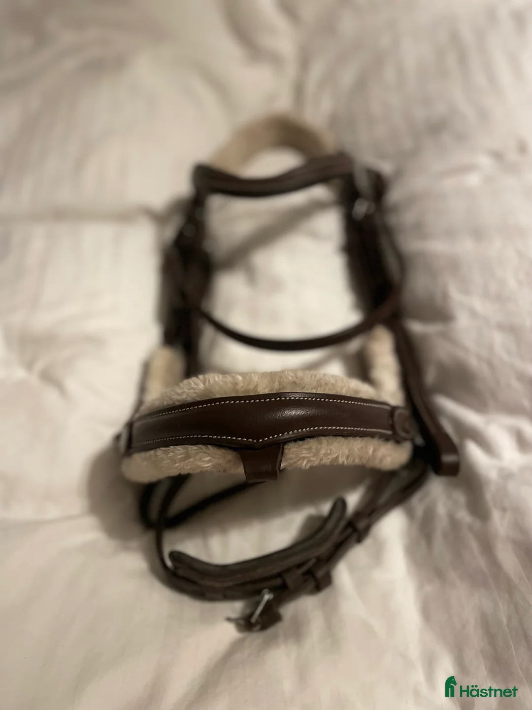 Träns hästutrustning till salu: Sängt pris!! Träns m tyglar  i Lunde - Annons 2