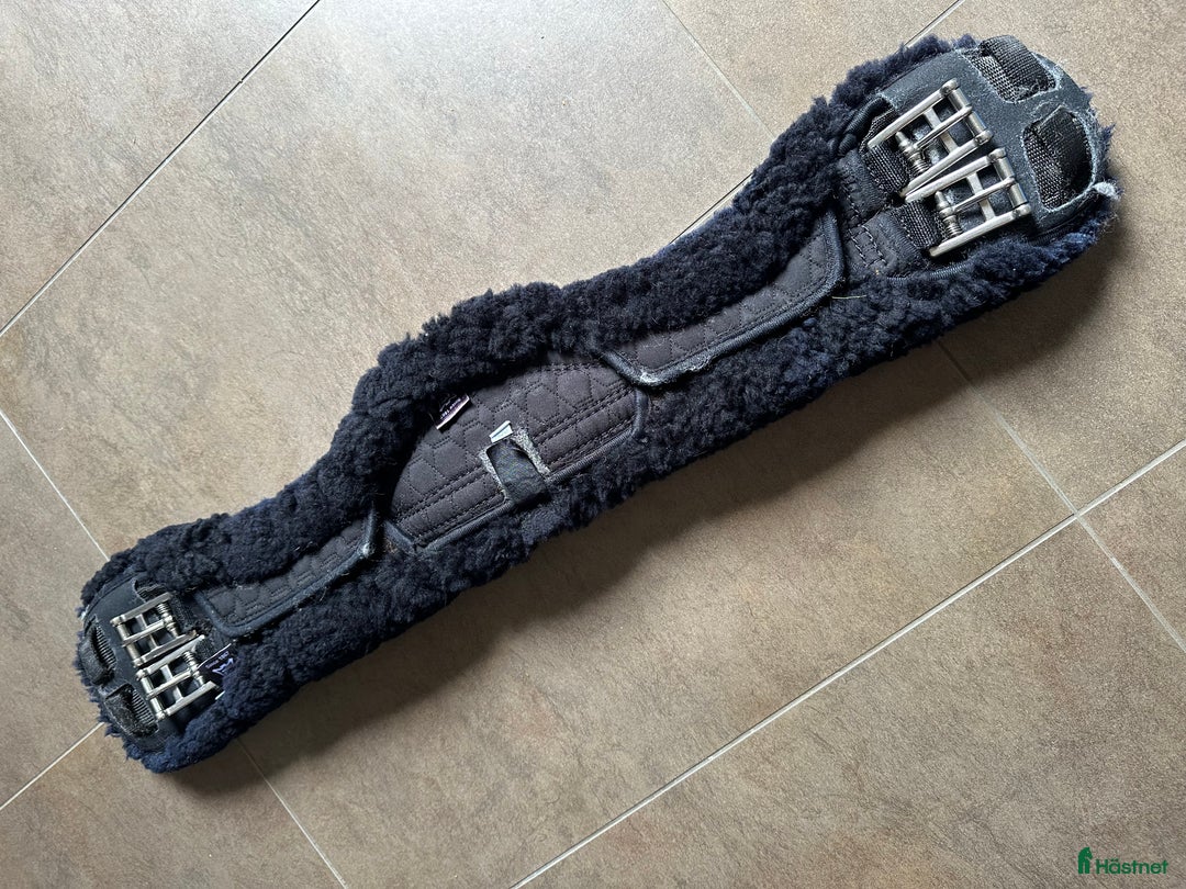 Sadeltillbehör hästutrustning till salu: Mattes sadelgjord 70cm med fårskinn i Perstorp - Annons 1