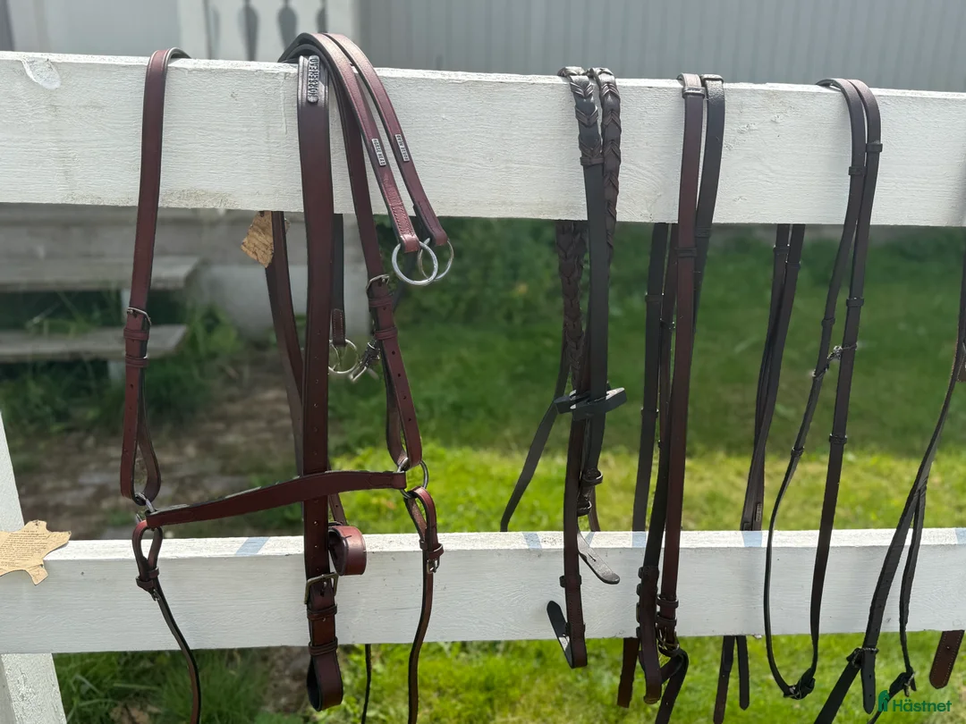 Övrig Hästutrustning hästutrustning till salu: Sadelkammarrensning i Linköping - Annons 9