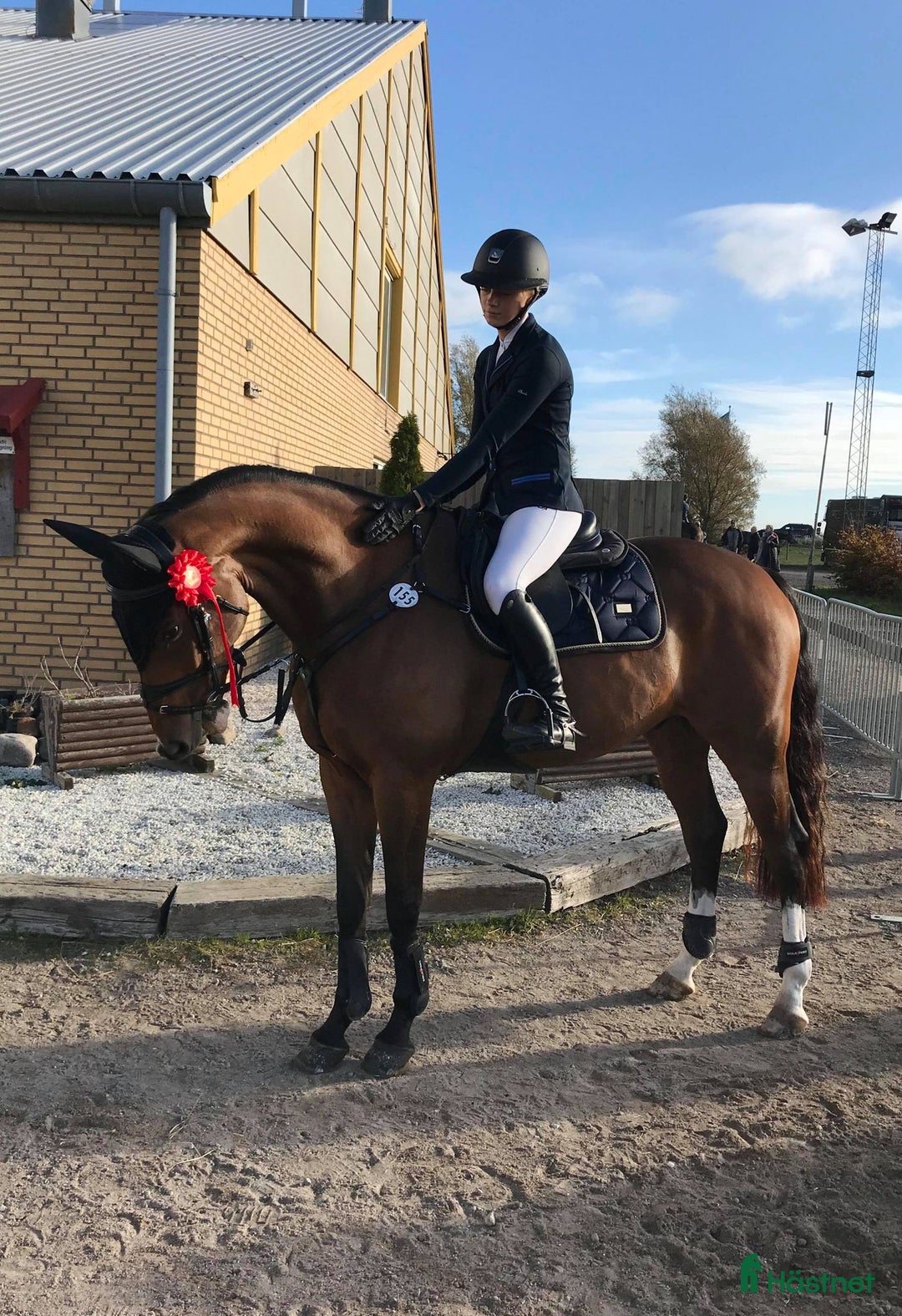  hästservice finnes: Önskar du hjälp - inridning/utbildning/försäljning i Eslöv - Annons 3