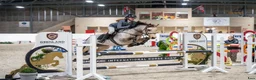 Hoppning hästar till salu: Tävlingsponny i Kungsbacka - Annons 5