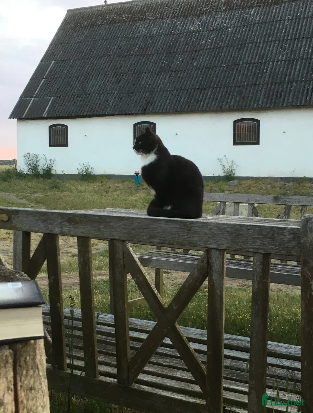  stallplats finnes: Boxplats vid Tågarps rf i Annelöv  i Annelöv - Annons 2