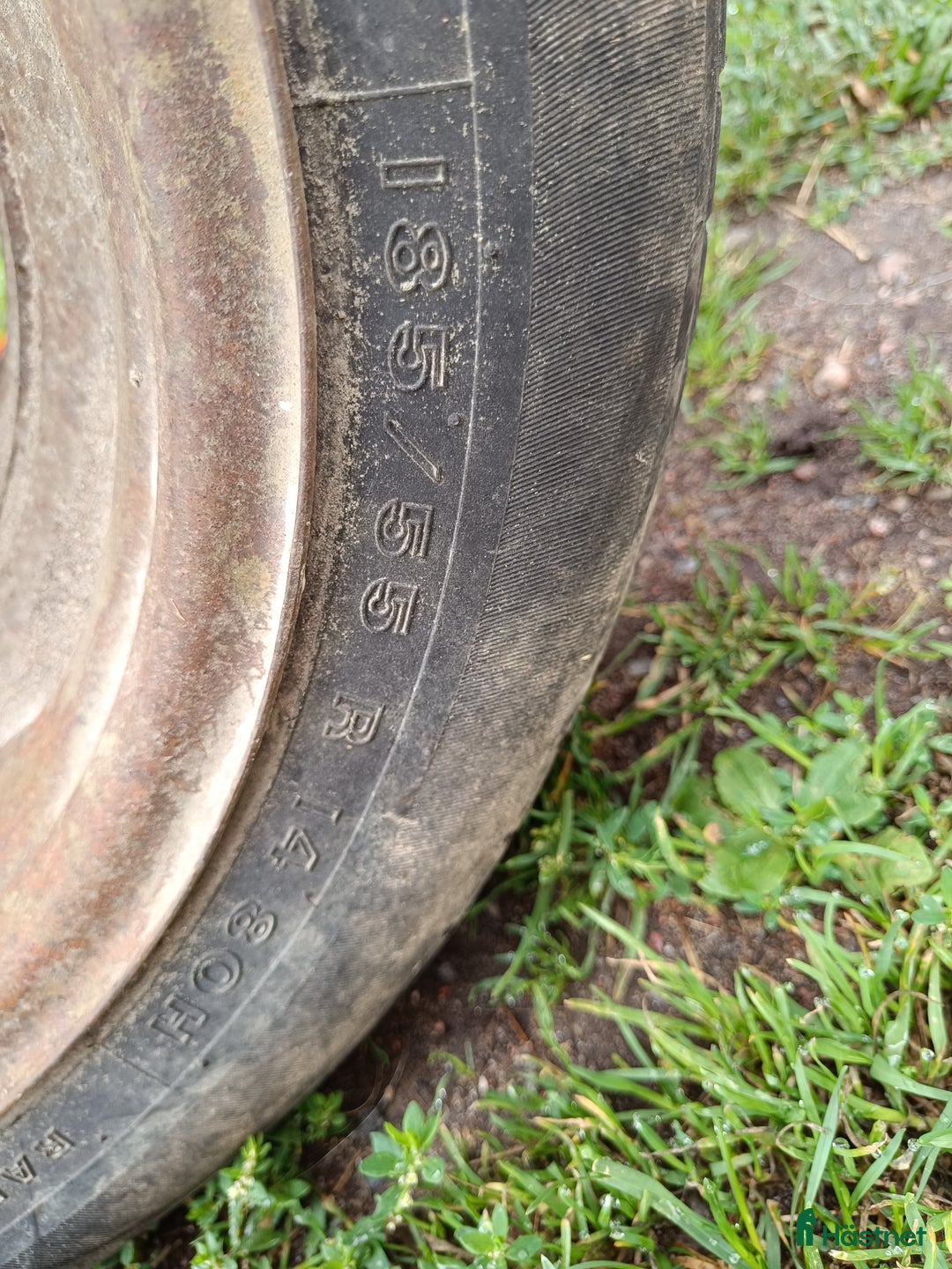 Körvagnar körning till salu: Rockard passande sport ponny/ islänning i Norrtälje - Annons 3