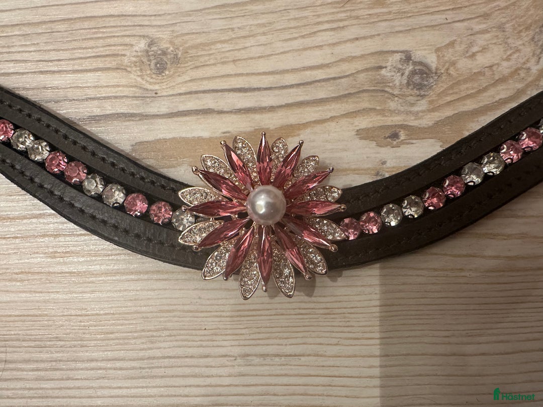 Övrig Hästutrustning hästutrustning till salu: Unika pannband till häst och ponny i Bro - Annons 7