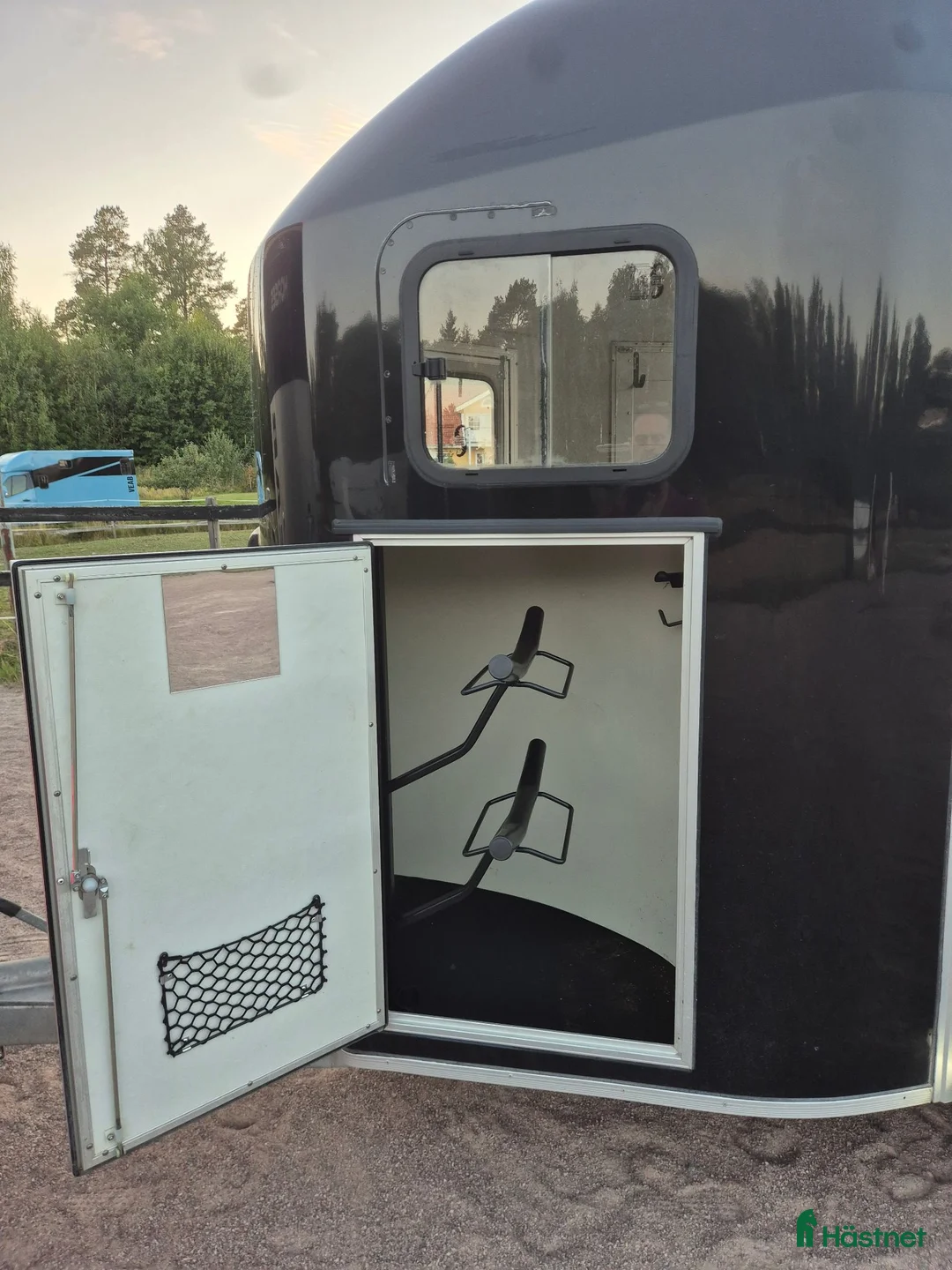 Hästtransporter  fordon & transport till salu: Cheval Liberte Gold 3 / 2022 - Annons 11