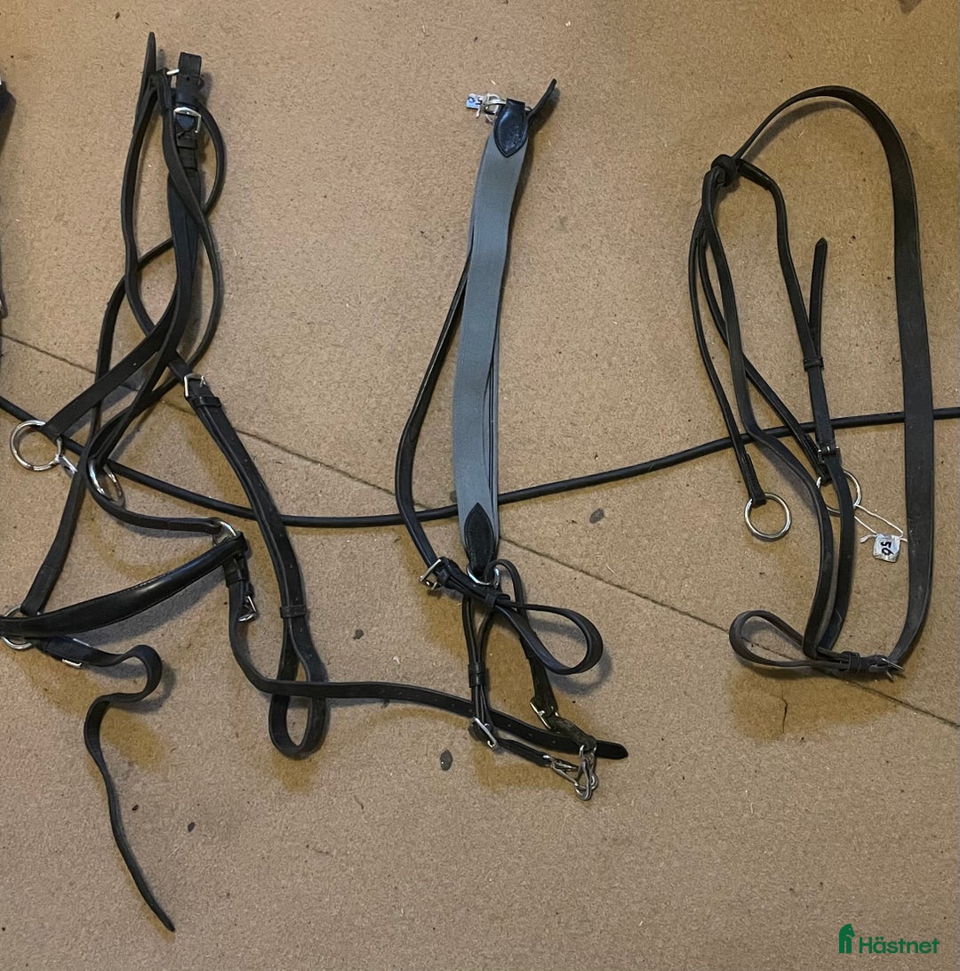 Övrig Hästutrustning hästutrustning till salu: Förbygel och martingal  i Vallberga - Annons 1