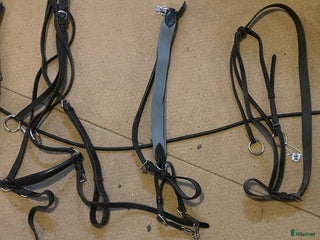 Övrig Hästutrustning hästutrustning till salu: Förbygel och martingal i Vallberga - Annons 16