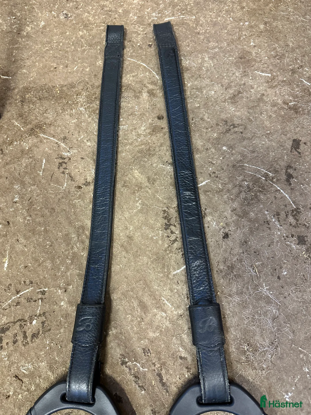 Sadlar hästutrustning till salu: Wintec hopp inkl 5 järn - Annons 7