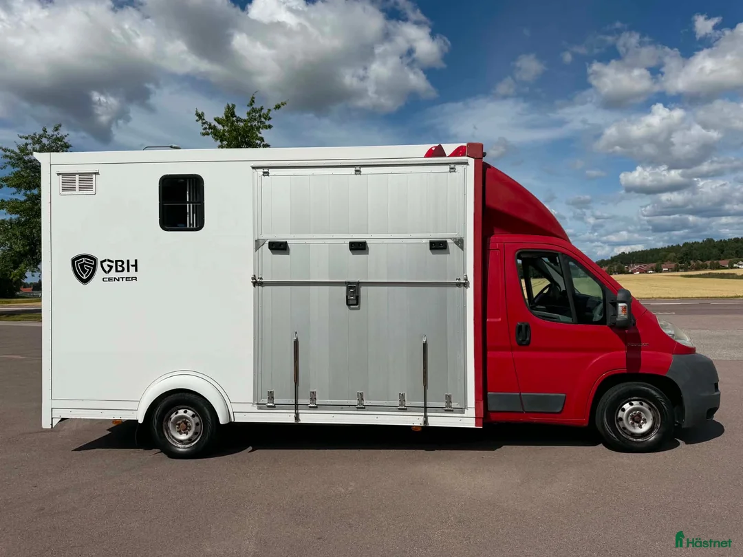 Hästlastbilar  fordon & transport till salu: Peugeot Hästlastbil med stuteri-inredning!  - Annons 2