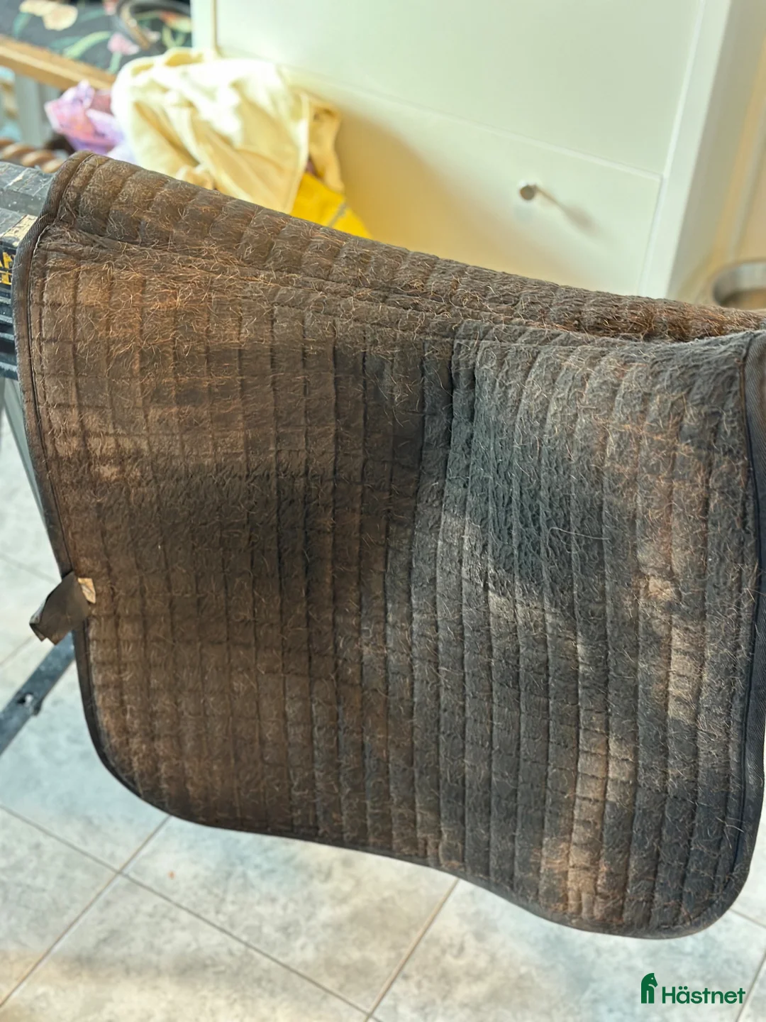 Schabrak & Vojlockar hästutrustning till salu: Back on track  - Annons 3