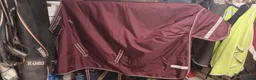 Täcken hästutrustning till salu: Vintertäcke 200g stl 125 - Annons 9