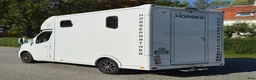 Hästlastbilar  fordon & transport till salu: Horsepartner STUTERI 1000kg - Annons 5