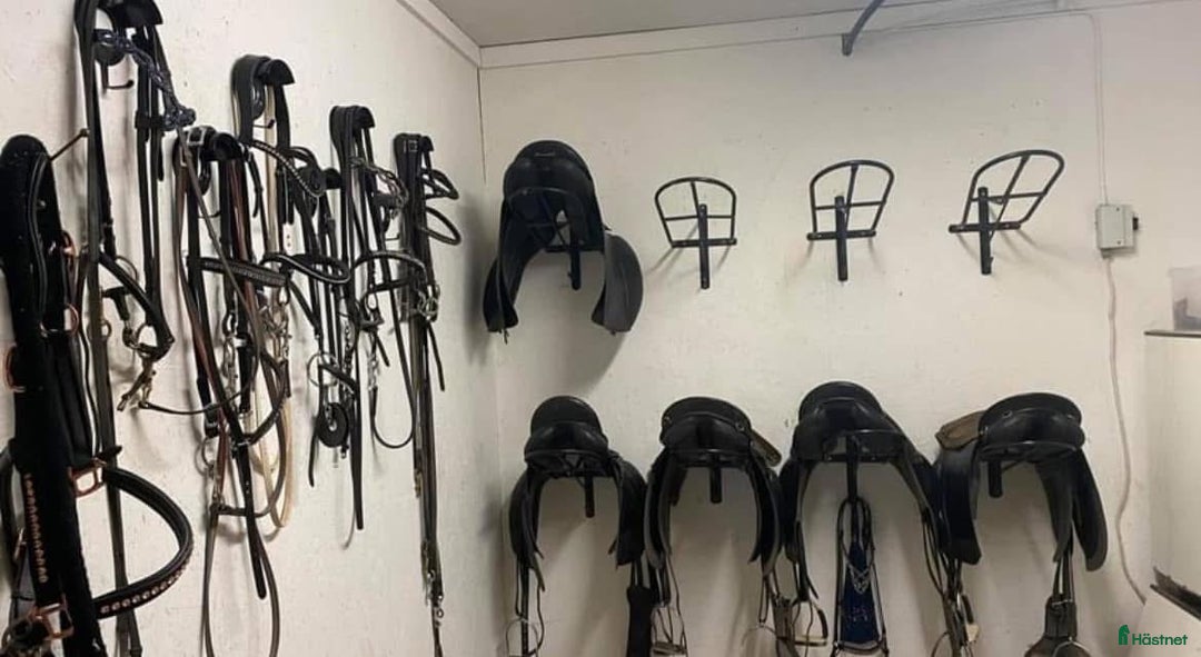  stallplats finnes: Lösdriftplats i Heby i Heby - Annons 3