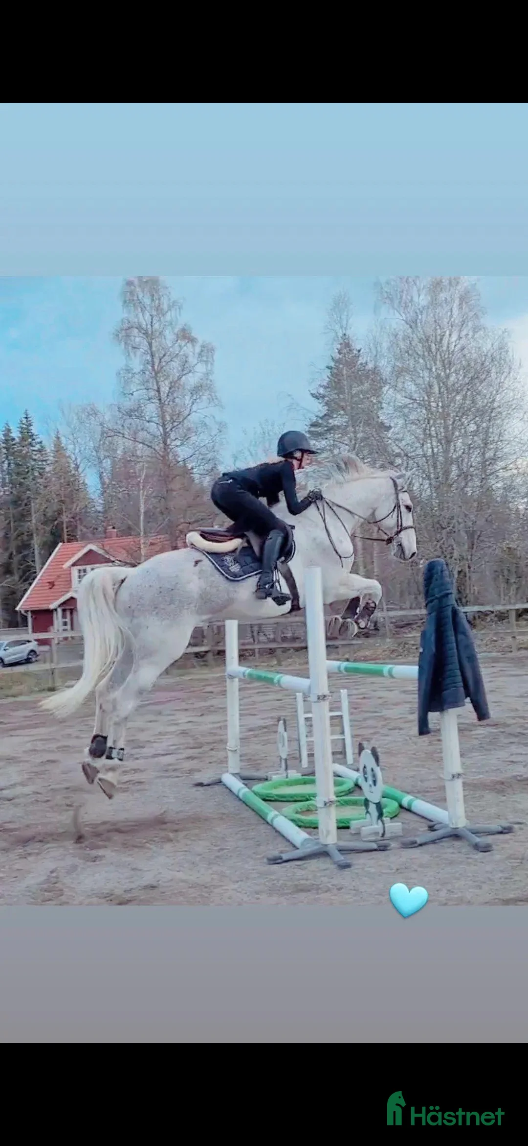 Sadlar hästutrustning till salu: Butet P sadel - Annons 6