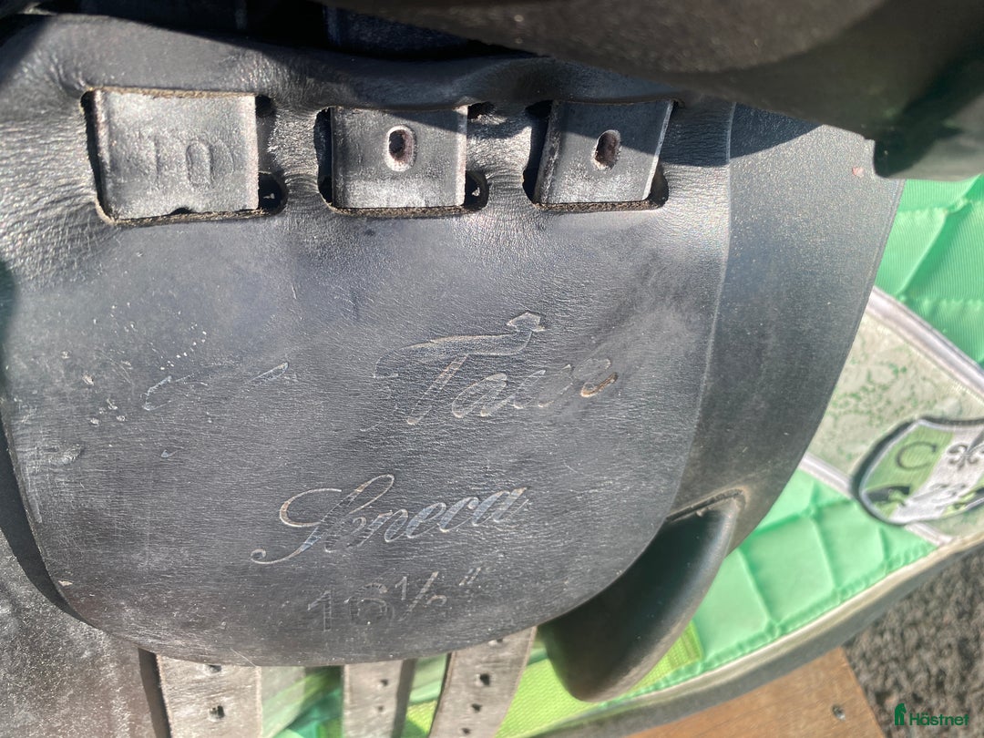 Sadlar hästutrustning till salu: KENTAUR  i Söderköping - Annons 2