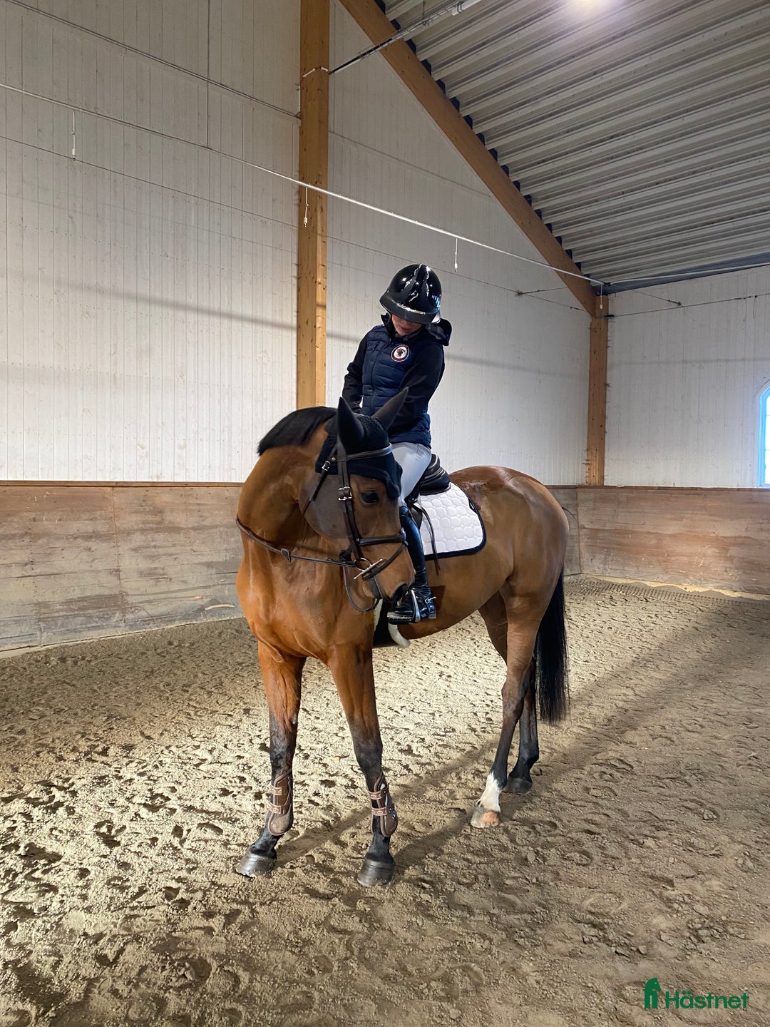 Galleribild {{count}}