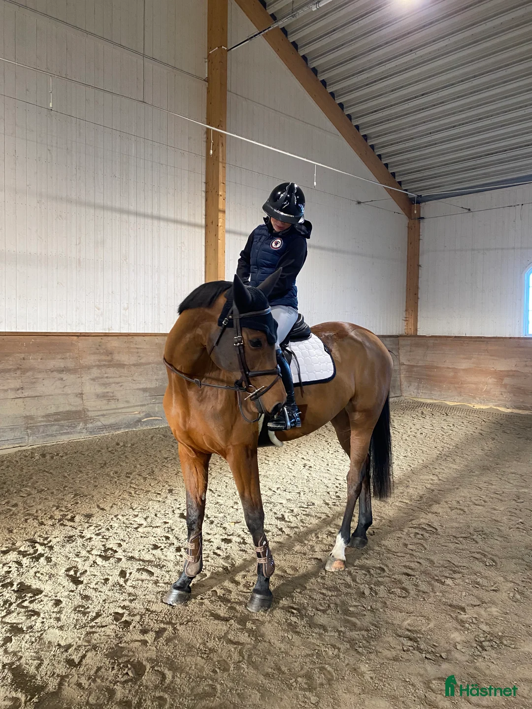 Galleribild {{count}}