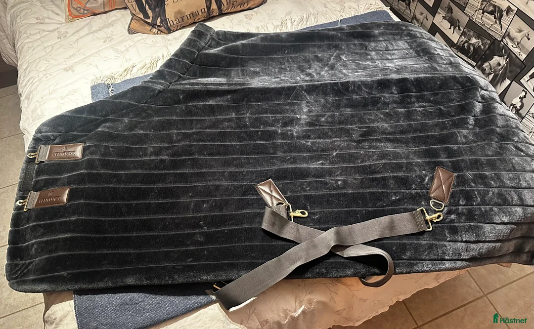 Täcken hästutrustning till salu: Kentucky päls täcke i Sigtuna - Annons 1