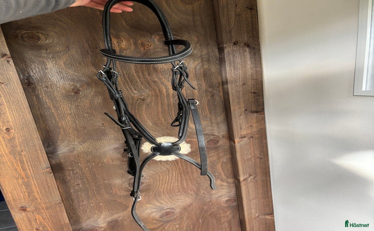 Träns hästutrustning till salu i Vårgårda - Annons 9