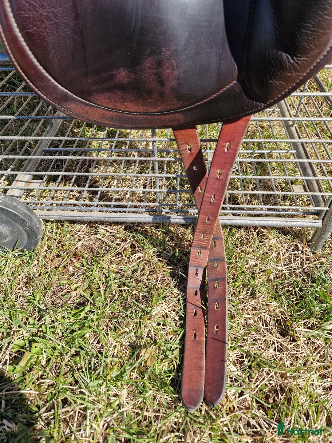 Sadlar hästutrustning till salu: Equipe Oracle - Annons 2