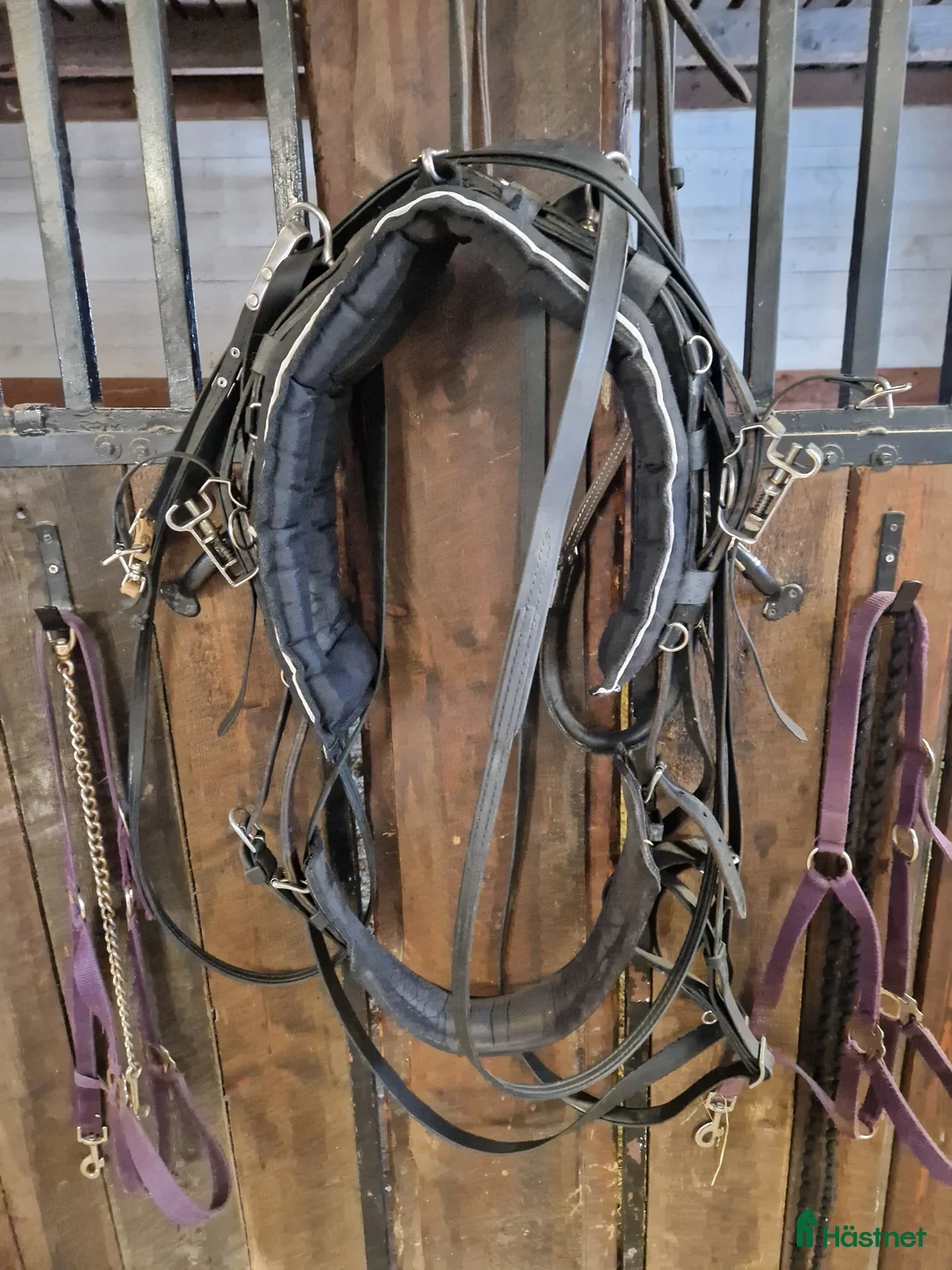 Travselar trav till salu: Träningsselar qh i Rättvik - Annons 2