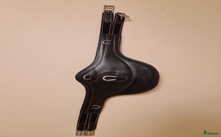 Övrig Hästutrustning hästutrustning till salu i Fåker - Annons 17