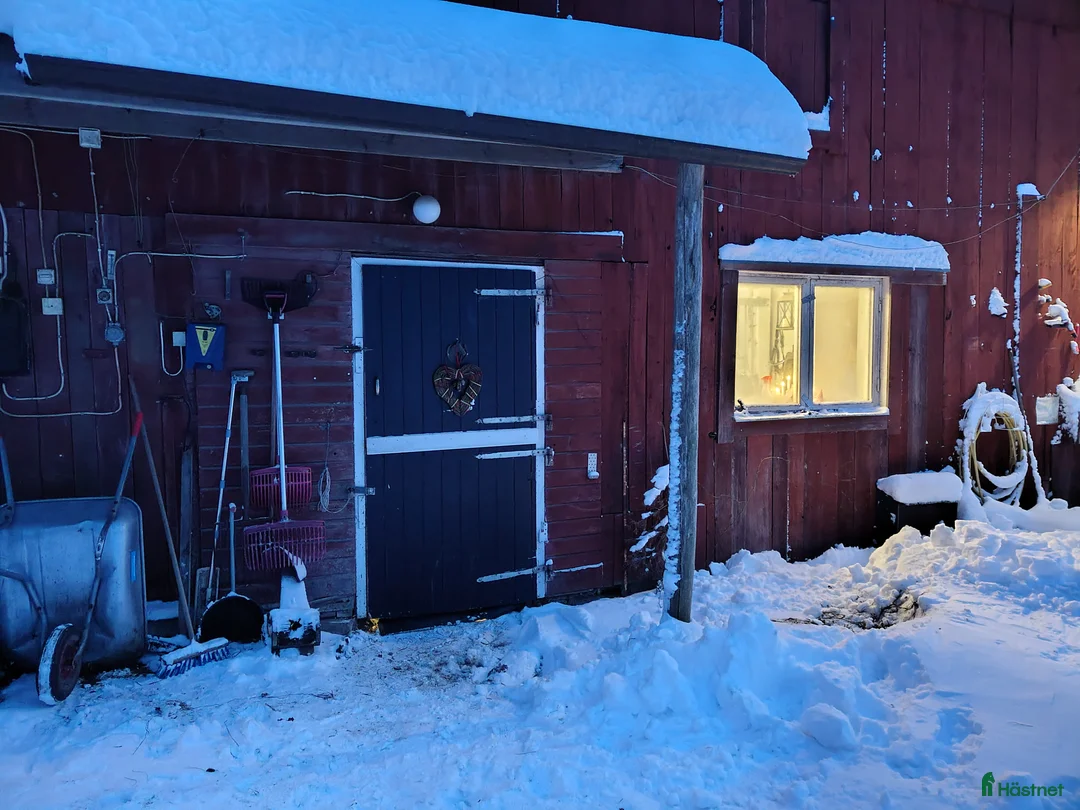  stallplats finnes: Två-Tre stallplatser i Tungelsta uthyres.  - Annons 10