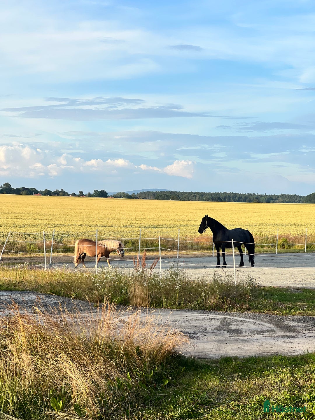  stallplats finnes: Stallplats/boxplats i Råda, Lidköping  i Lidköping - Annons 4