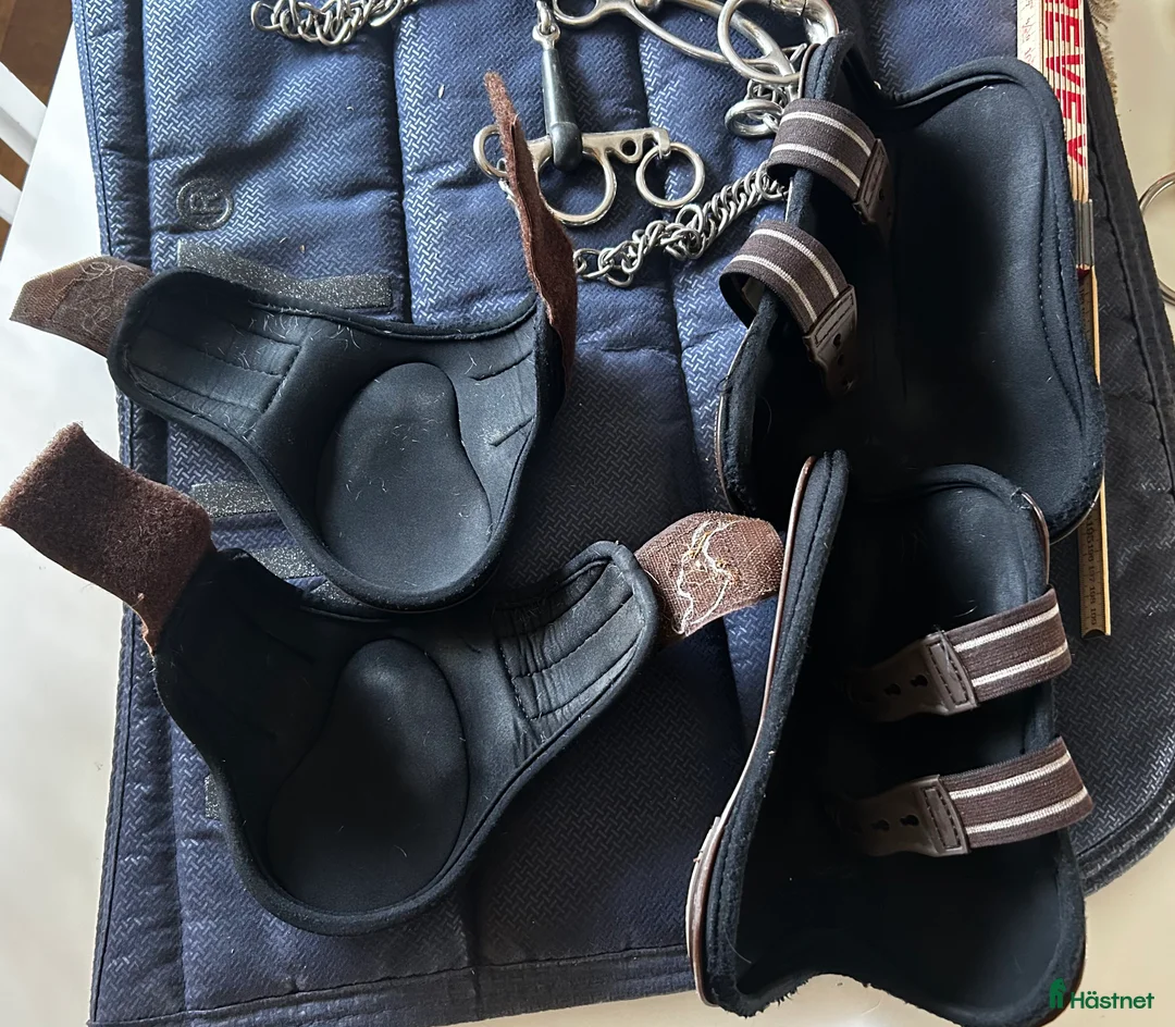 Benskydd hästutrustning till salu: Lamicell PRO  - Annons 2